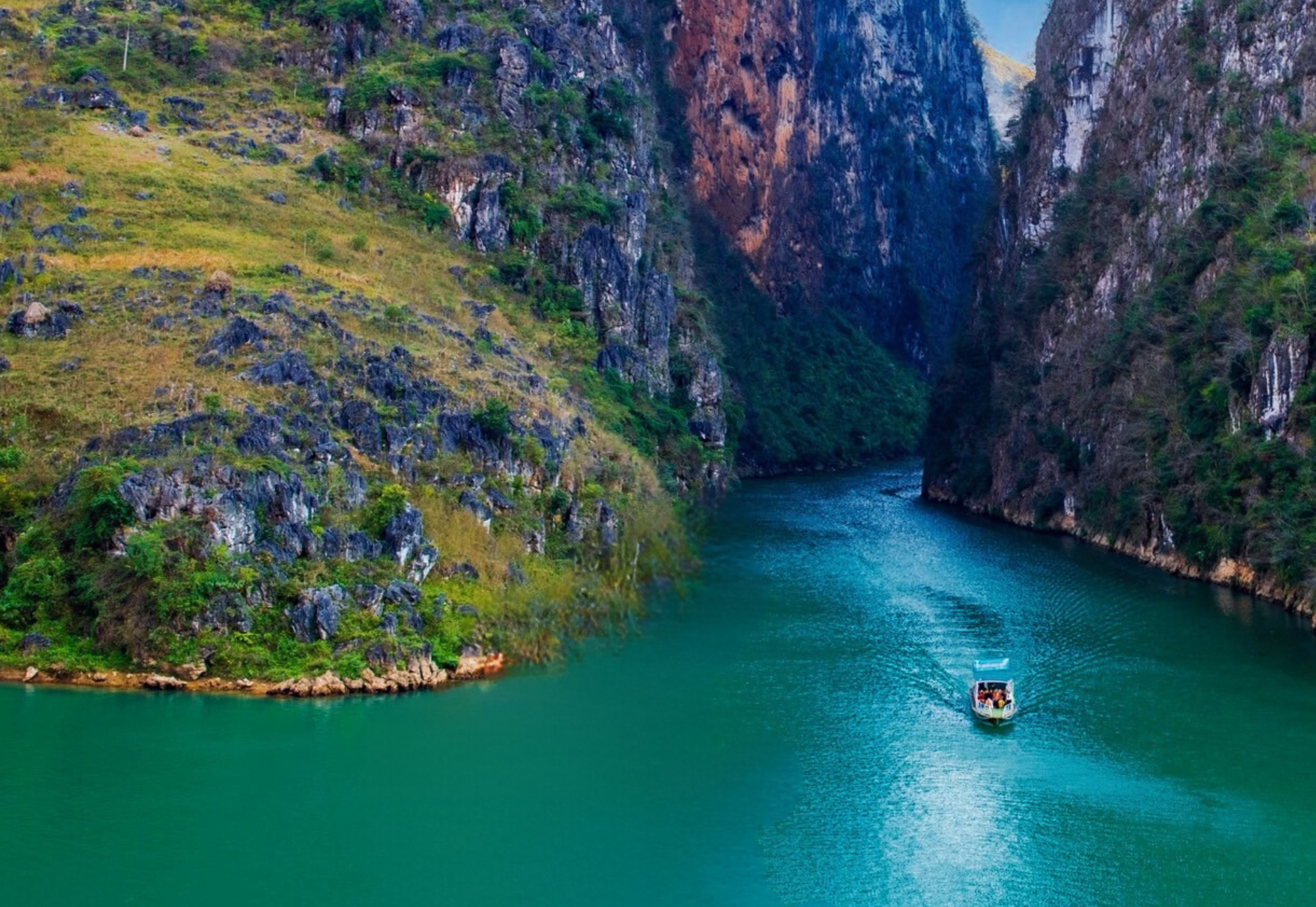 ảnh Nho Quế