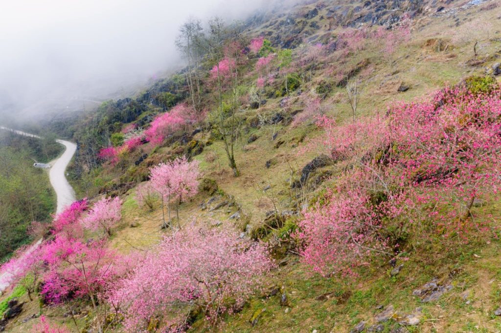Ha Giang Weather